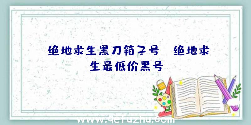 「绝地求生黑刀箱子号」|绝地求生最低价黑号